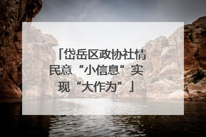 岱岳区政协社情民意“小信息”实现“大作为”