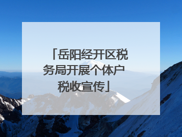 岳阳经开区税务局开展个体户税收宣传