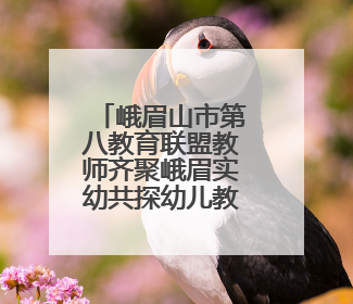 峨眉山市第八教育联盟教师齐聚峨眉实幼共探幼儿教育高质量发展新路径