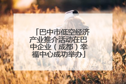 巴中市低空经济产业推介活动在巴中企业（成都）幸福中心成功举办
