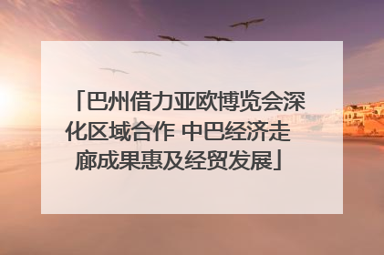 巴州借力亚欧博览会深化区域合作 中巴经济走廊成果惠及经贸发展
