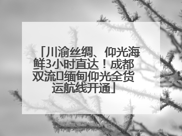 川渝丝绸、仰光海鲜3小时直达！成都双流⇌缅甸仰光全货运航线开通