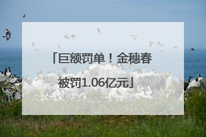 巨额罚单！金穗春被罚1.06亿元