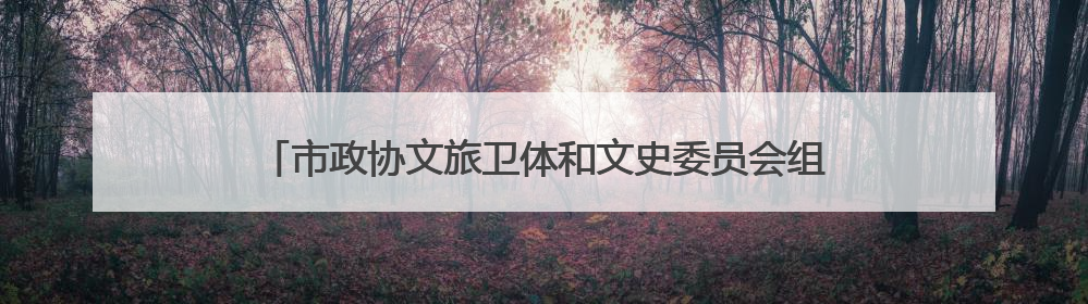 市政协文旅卫体和文史委员会组织开展提案督促办理协商活动