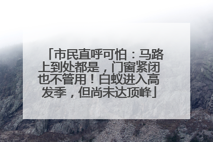 市民直呼可怕：马路上到处都是，门窗紧闭也不管用！白蚁进入高发季，但尚未达顶峰
