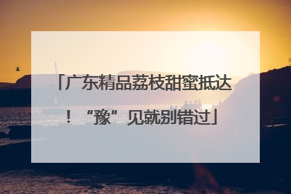 广东精品荔枝甜蜜抵达！“豫”见就别错过