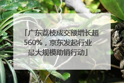 广东荔枝成交额增长超560%，京东发起行业最大规模助销行动