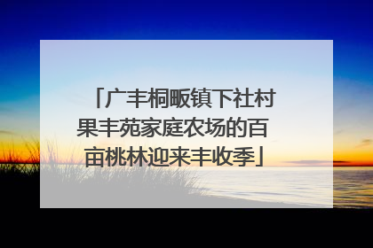广丰桐畈镇下社村果丰苑家庭农场的百亩桃林迎来丰收季