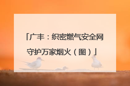 广丰：织密燃气安全网 守护万家烟火（图）