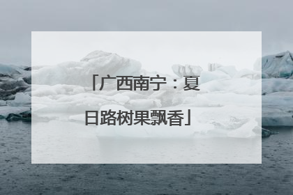 广西南宁：夏日路树果飘香