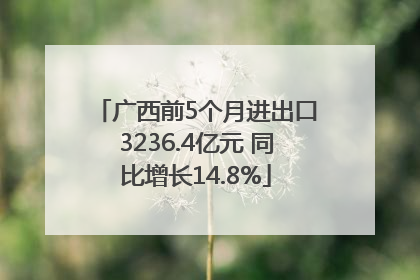广西前5个月进出口3236.4亿元 同比增长14.8%