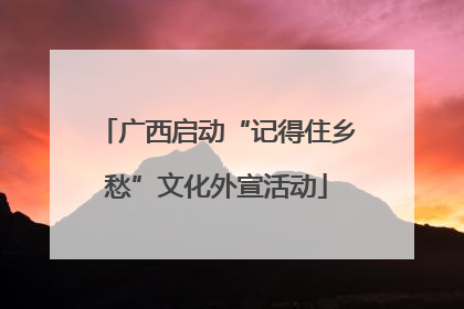 广西启动“记得住乡愁”文化外宣活动