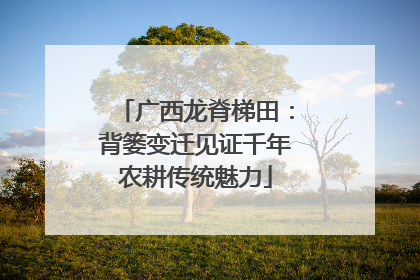 广西龙脊梯田：背篓变迁见证千年农耕传统魅力