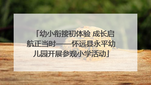 幼小衔接初体验 成长启航正当时——怀远县永平幼儿园开展参观小学活动