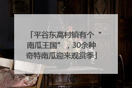 平谷东高村镇有个“南瓜王国”，30余种奇特南瓜迎来观赏季