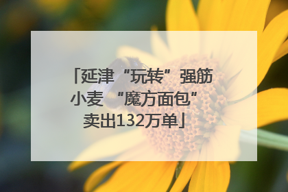 延津“玩转”强筋小麦 “魔方面包”卖出132万单