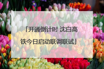 开通倒计时 沈白高铁今日启动联调联试