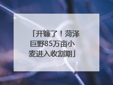 开镰了！菏泽巨野85万亩小麦进入收割期