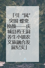 引“凤”突围 蝶变换颜——庆城县药王洞养生小镇农文旅融合发展纪实