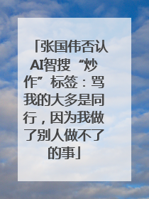 张国伟否认AI智搜“炒作”标签：骂我的大多是同行，因为我做了别人做不了的事