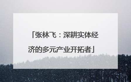 张林飞：深耕实体经济的多元产业开拓者