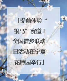 提前体验“银马”赛道！全国徒步联动日活动在宁夏花博园举行