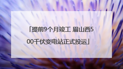 提前9个月竣工 眉山西500千伏变电站正式投运