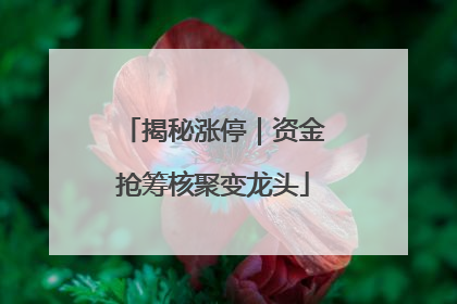 揭秘涨停｜资金抢筹核聚变龙头