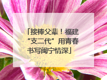 接棒父辈！福建“支二代”用青春书写闽宁情深