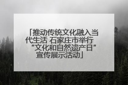 推动传统文化融入当代生活 石家庄市举行“文化和自然遗产日”宣传展示活动