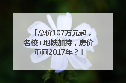 总价107万元起，名校+地铁加持，房价重回2017年？