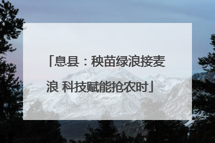 息县：秧苗绿浪接麦浪 科技赋能抢农时