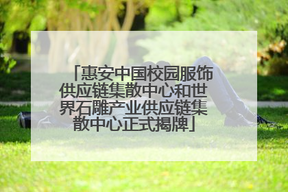 惠安中国校园服饰供应链集散中心和世界石雕产业供应链集散中心正式揭牌
