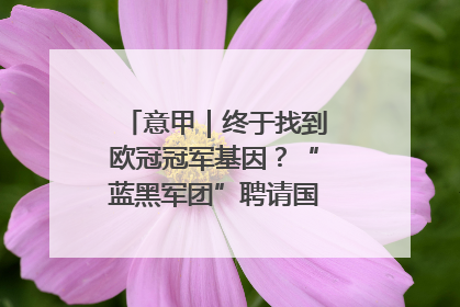 意甲｜终于找到欧冠冠军基因？“蓝黑军团”聘请国米名宿齐沃执教