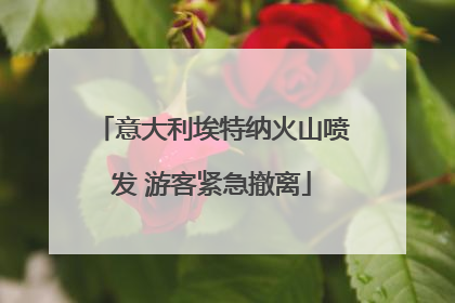 意大利埃特纳火山喷发 游客紧急撤离