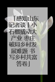 感知山东记者谈丨小石榴撬动大产业 枣庄破局乡村发展难题 书写乡村共富答卷