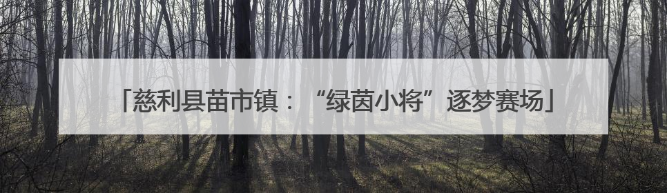 慈利县苗市镇：“绿茵小将”逐梦赛场