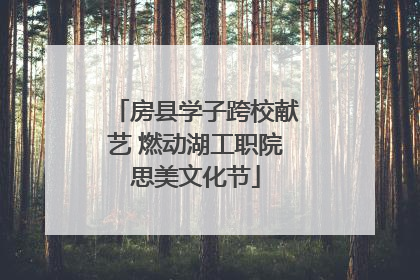 房县学子跨校献艺 燃动湖工职院思美文化节
