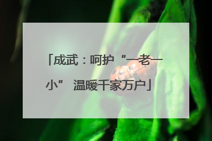 成武：呵护“一老一小” 温暖千家万户