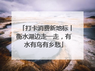 打卡消费新地标丨衡水湖边走一走，有水有鸟有乡愁