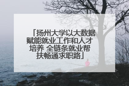 扬州大学以大数据赋能就业工作和人才培养 全链条就业帮扶畅通求职路