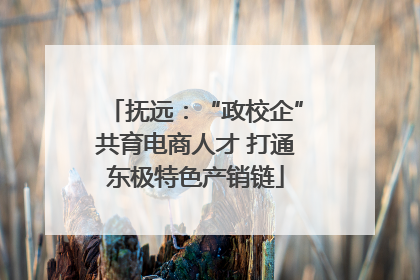 抚远：“政校企”共育电商人才 打通东极特色产销链