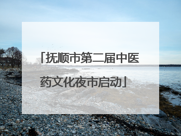 抚顺市第二届中医药文化夜市启动