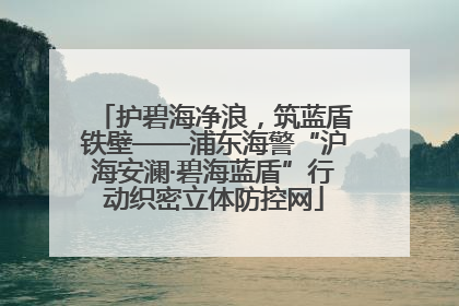 护碧海净浪，筑蓝盾铁壁——浦东海警“沪海安澜·碧海蓝盾”行动织密立体防控网