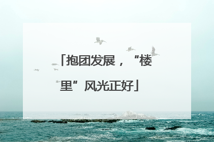 抱团发展，“楼里”风光正好