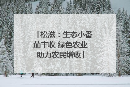 松滋：生态小番茄丰收 绿色农业助力农民增收
