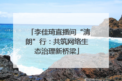 李佳琦直播间“清朗”行：共筑网络生态治理新桥梁