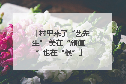 村里来了“艺先生” 美在“颜值”也在“根”