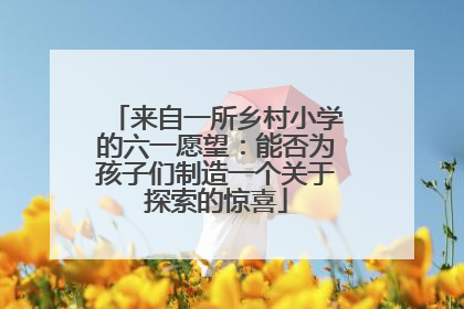 来自一所乡村小学的六一愿望：能否为孩子们制造一个关于探索的惊喜