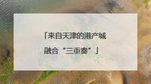 来自天津的港产城融合“三重奏”